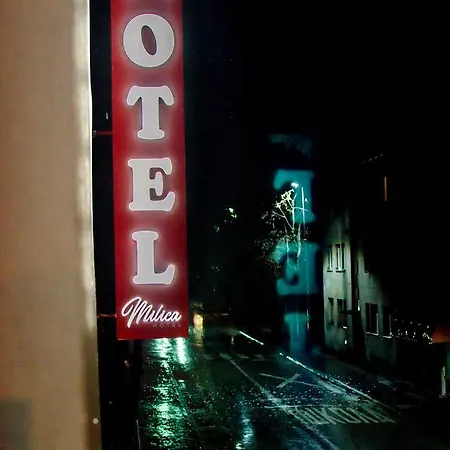 فندق Metohija 3*